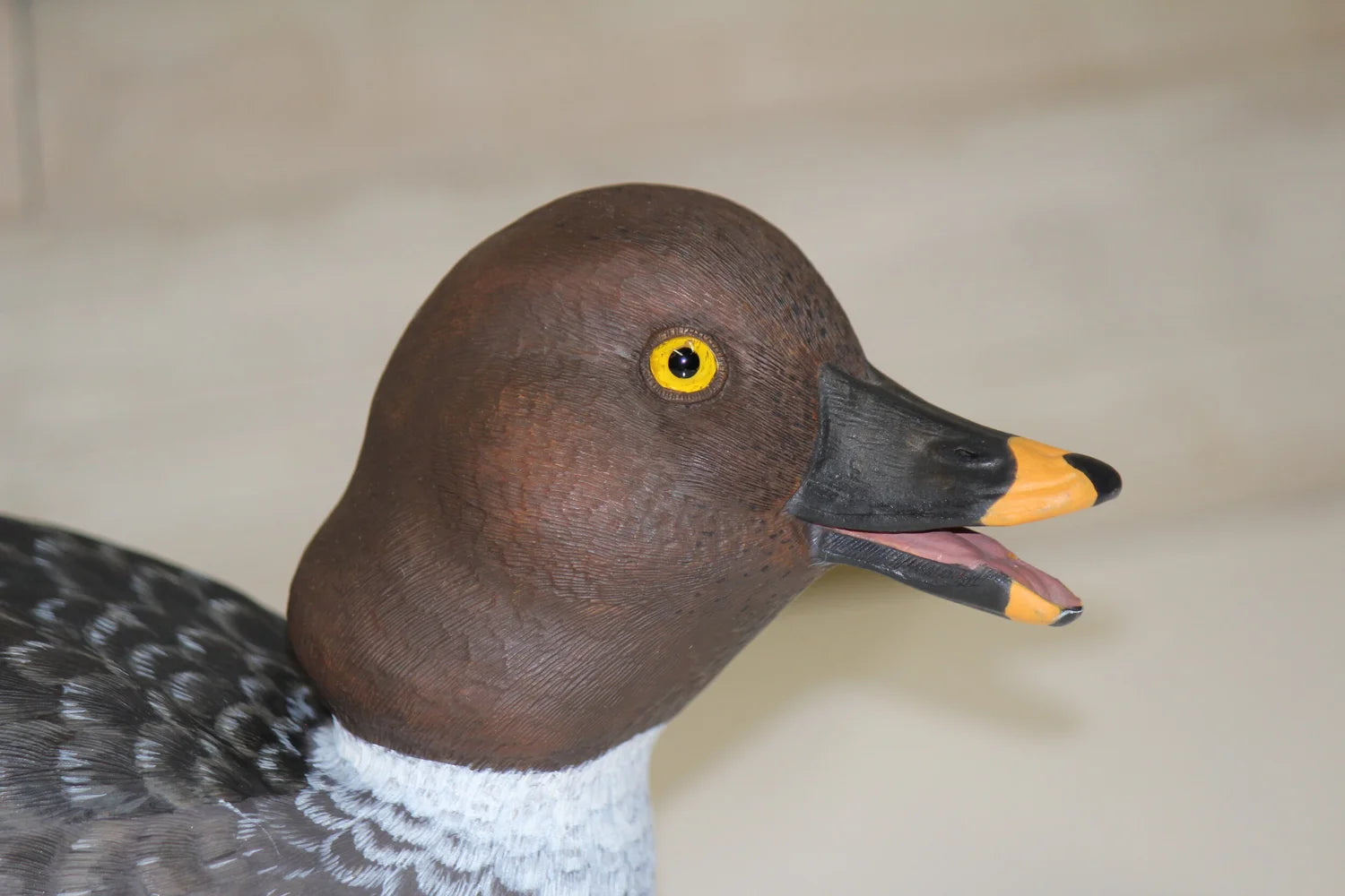 Common Goldeneyes