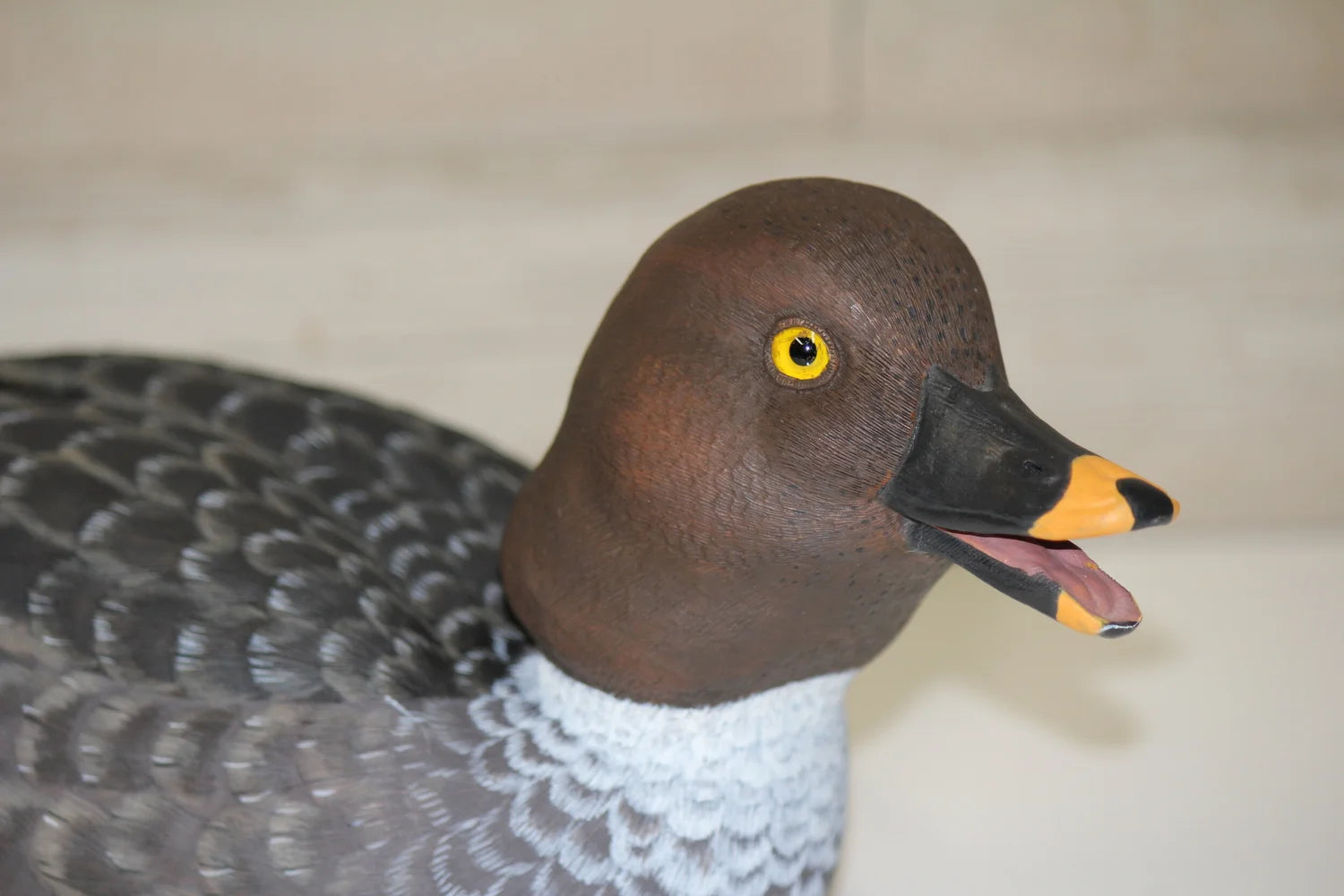 Common Goldeneyes