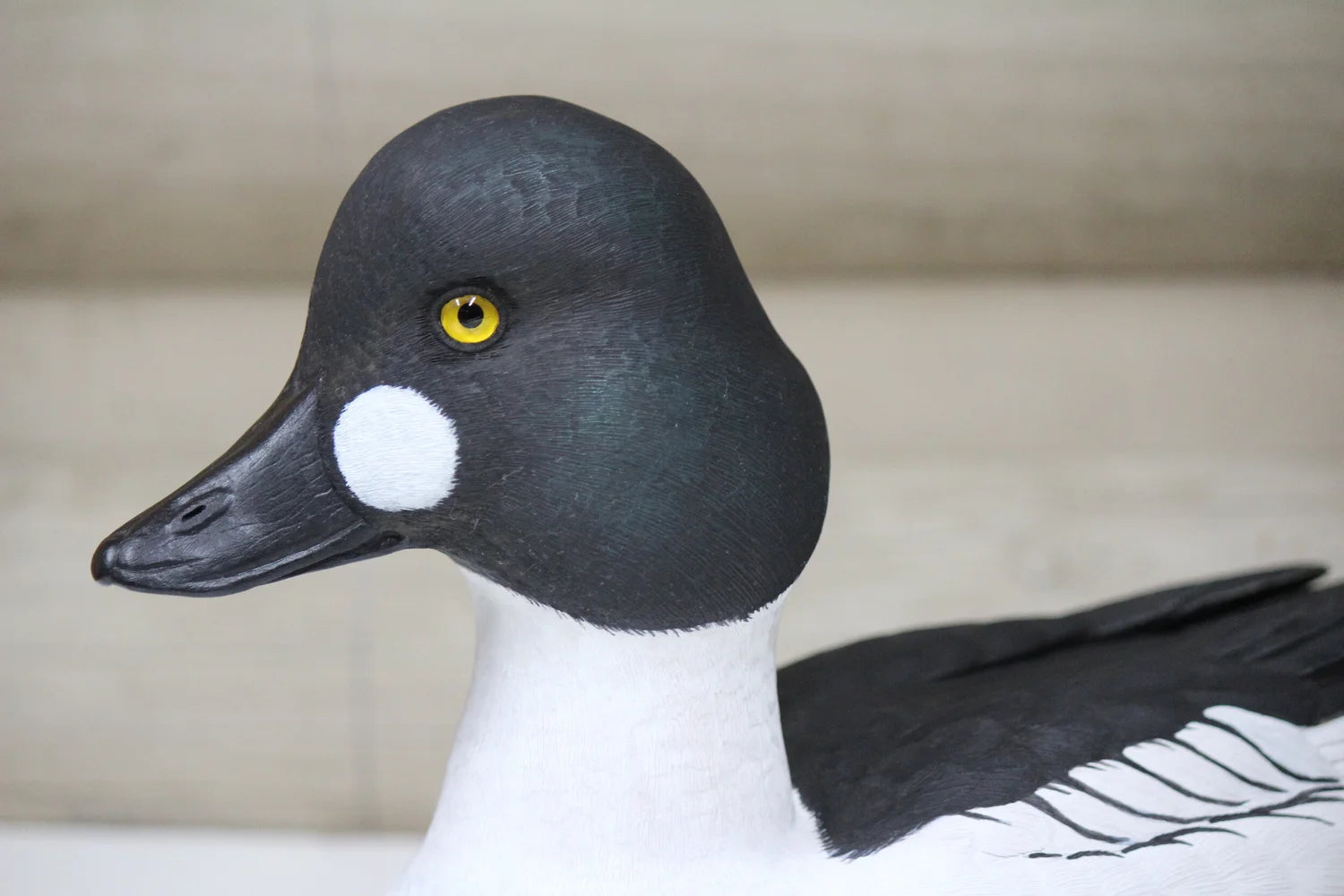 Common Goldeneyes
