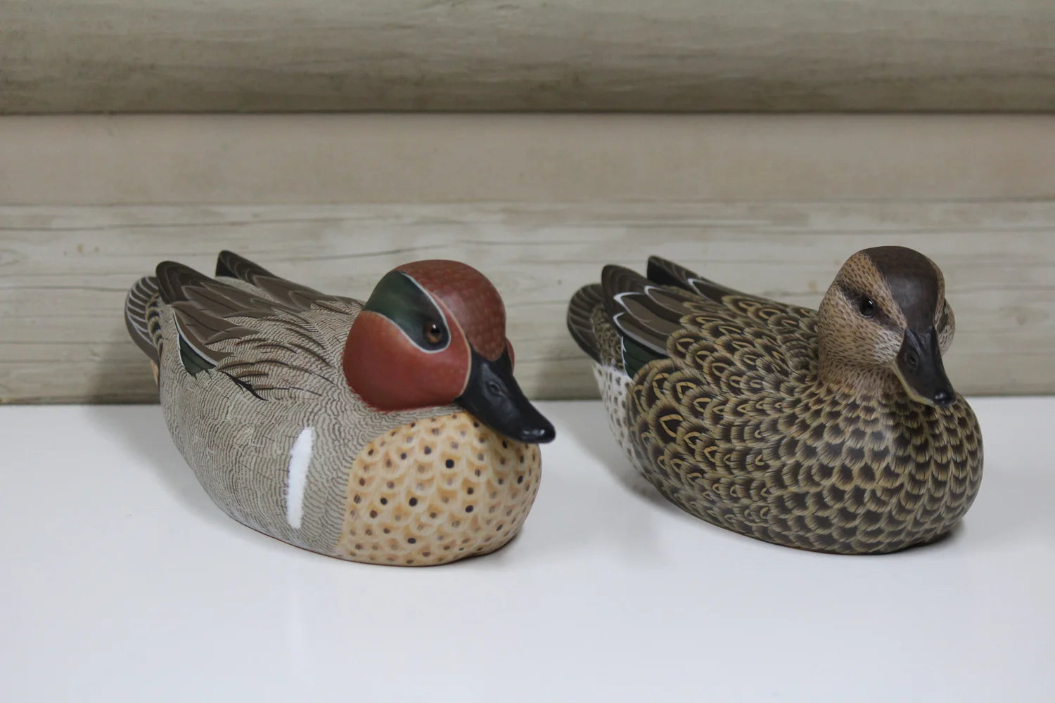 Green-winged Teals