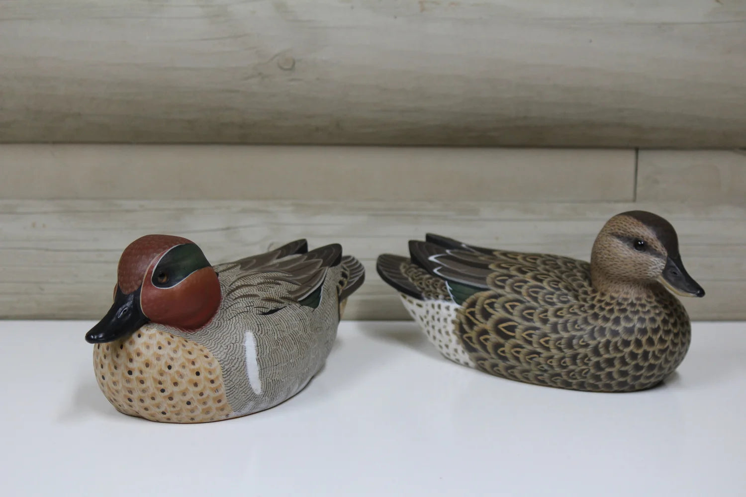 Green-winged Teals