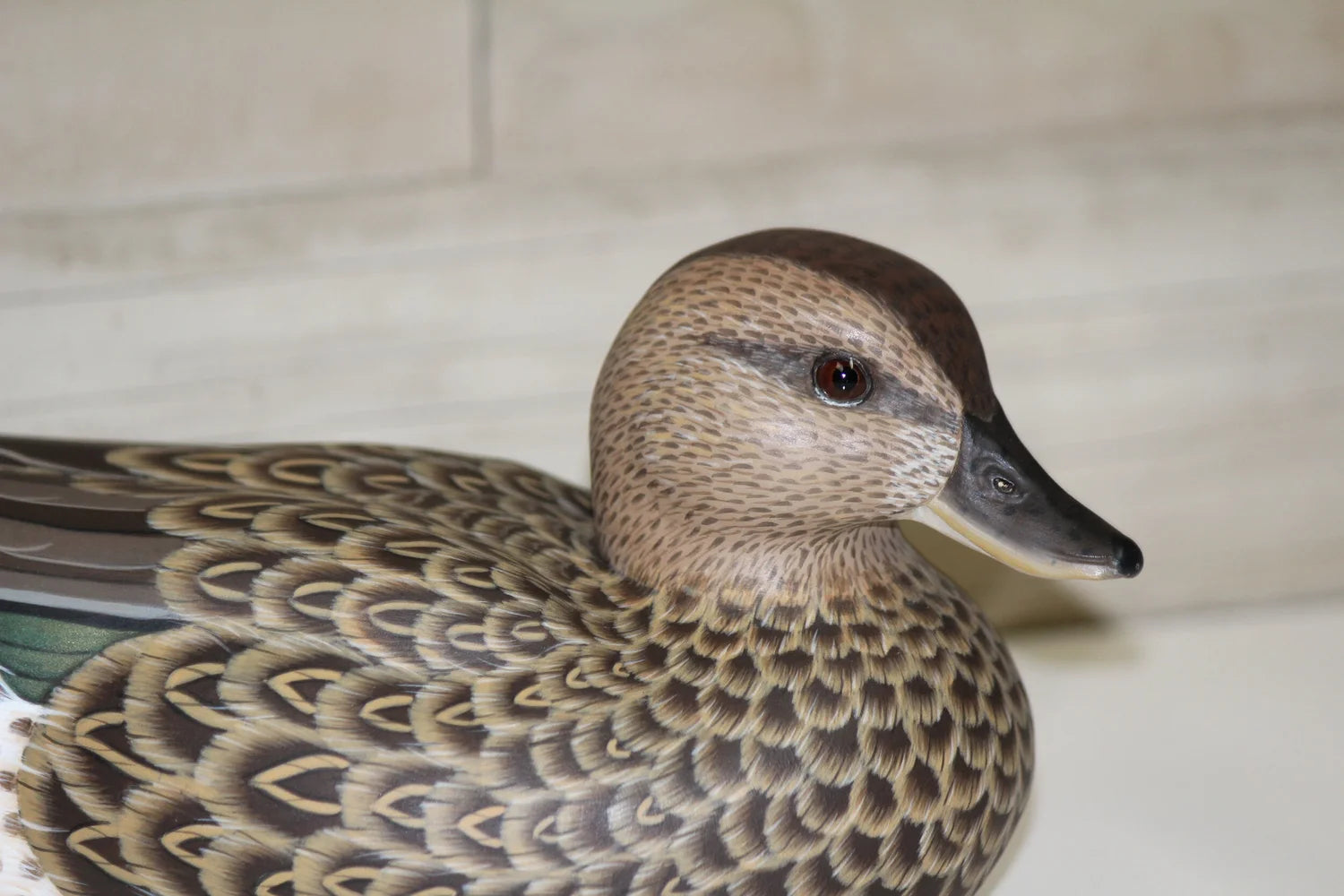 Green-winged Teals