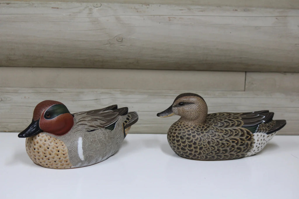 Green-winged Teals