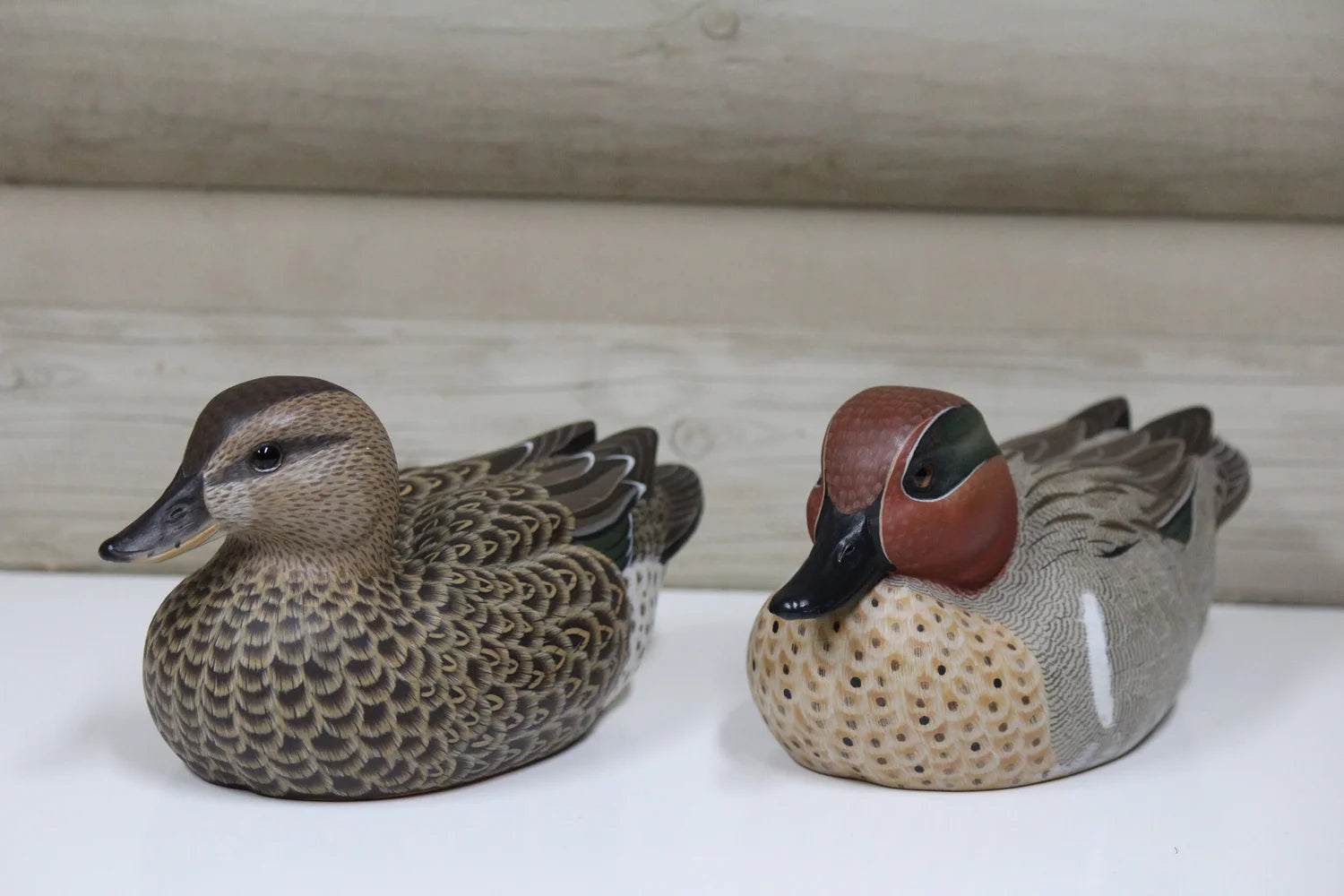 Green-winged Teals