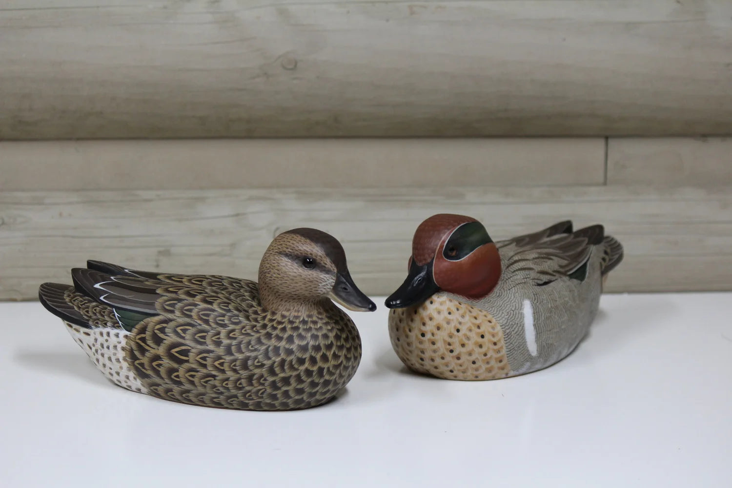 Green-winged Teals