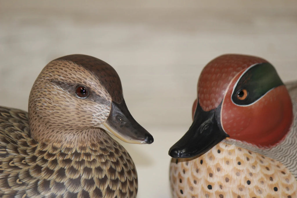 Green-winged Teals