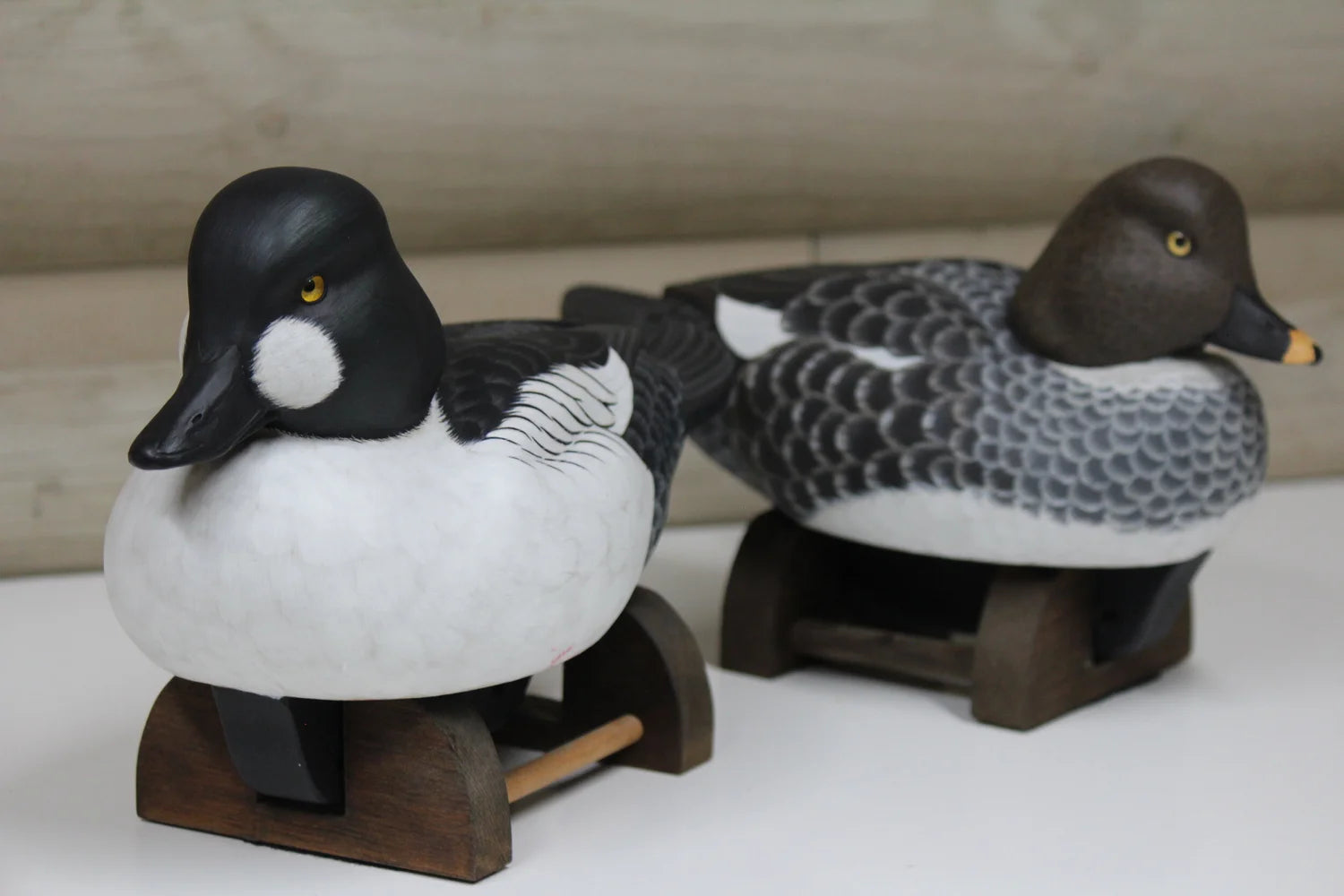 Common Goldeneyes