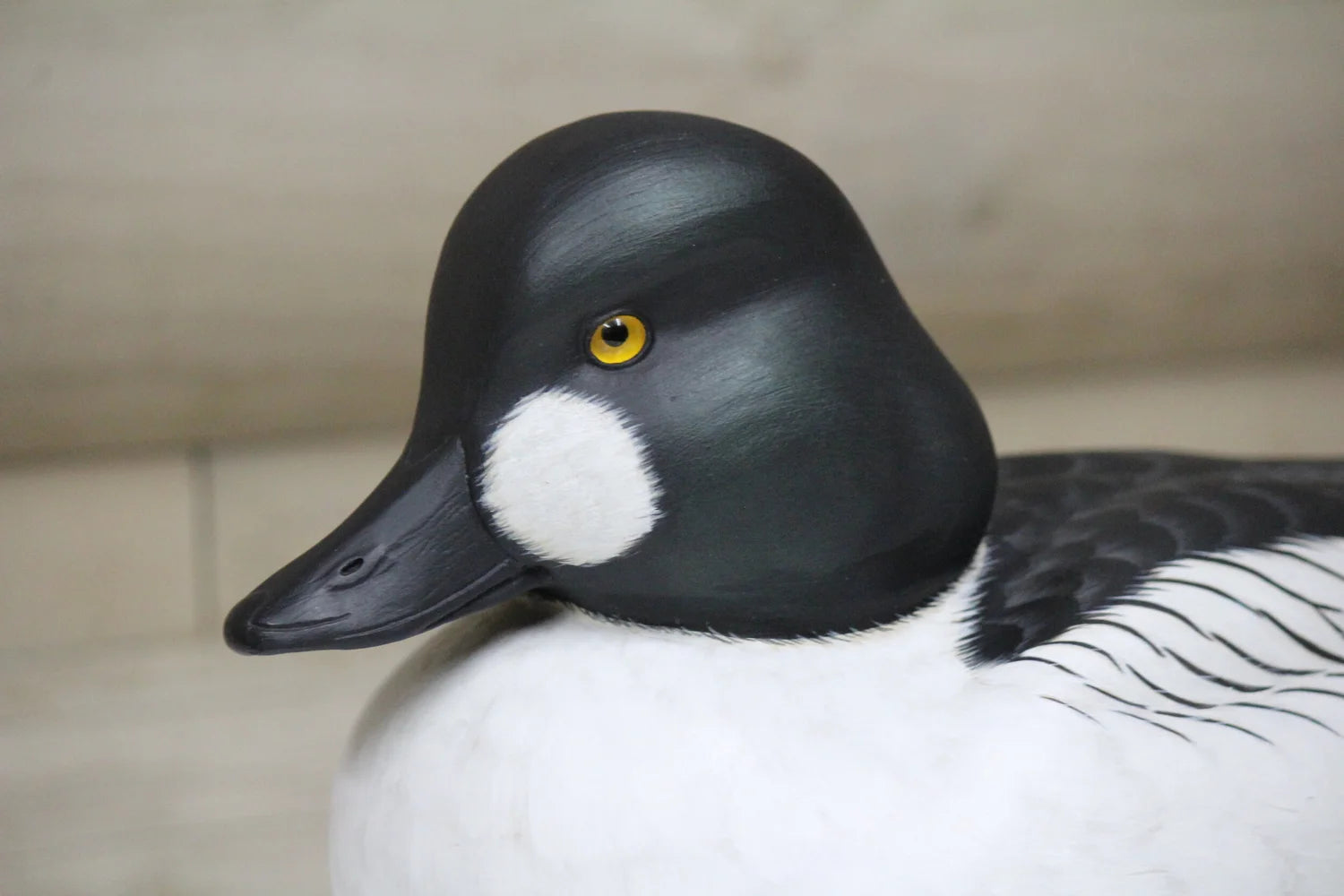 Common Goldeneyes