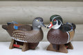 Wood Ducks