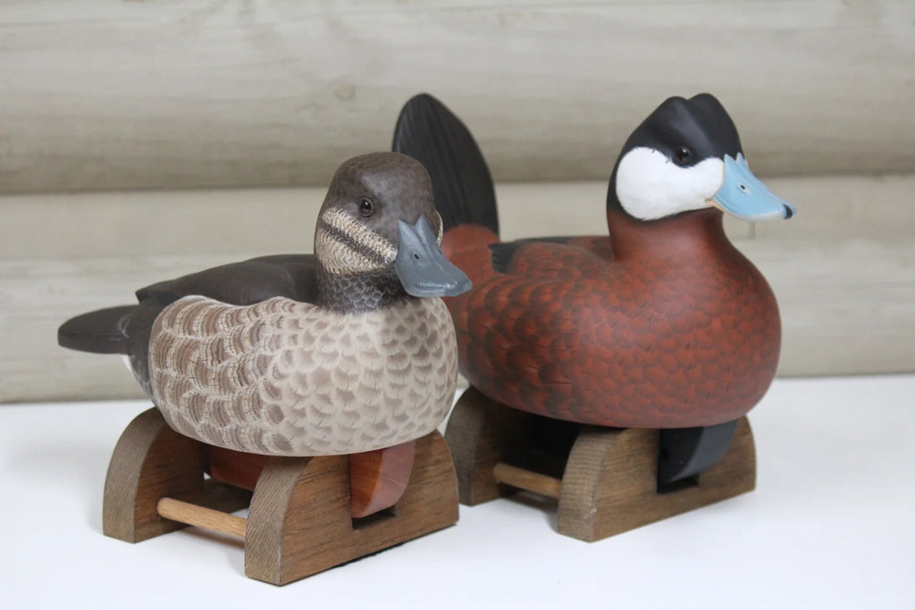 Ruddy Ducks