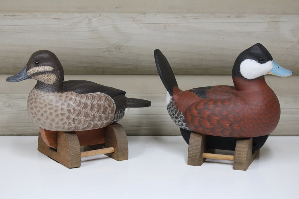 Ruddy Ducks