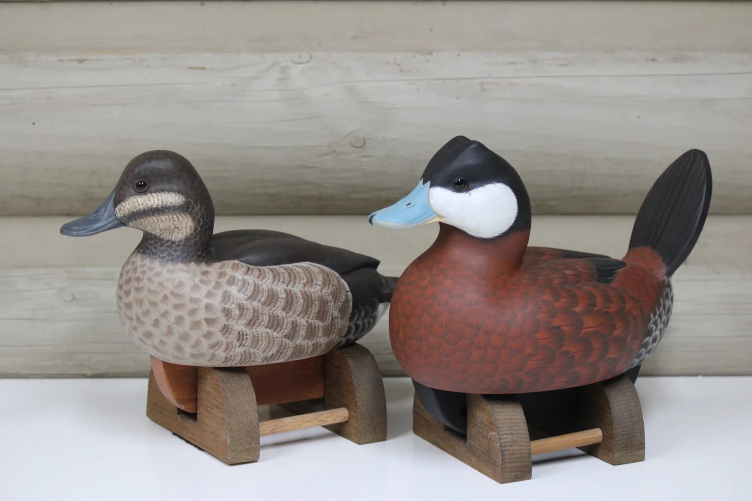 Ruddy Ducks