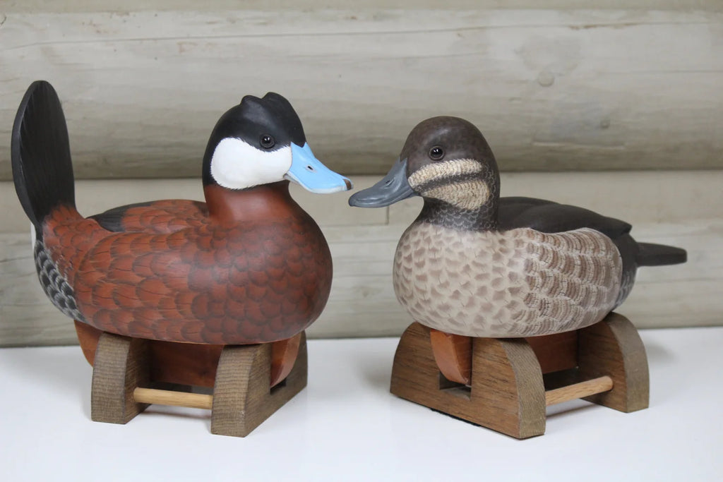 Ruddy Ducks
