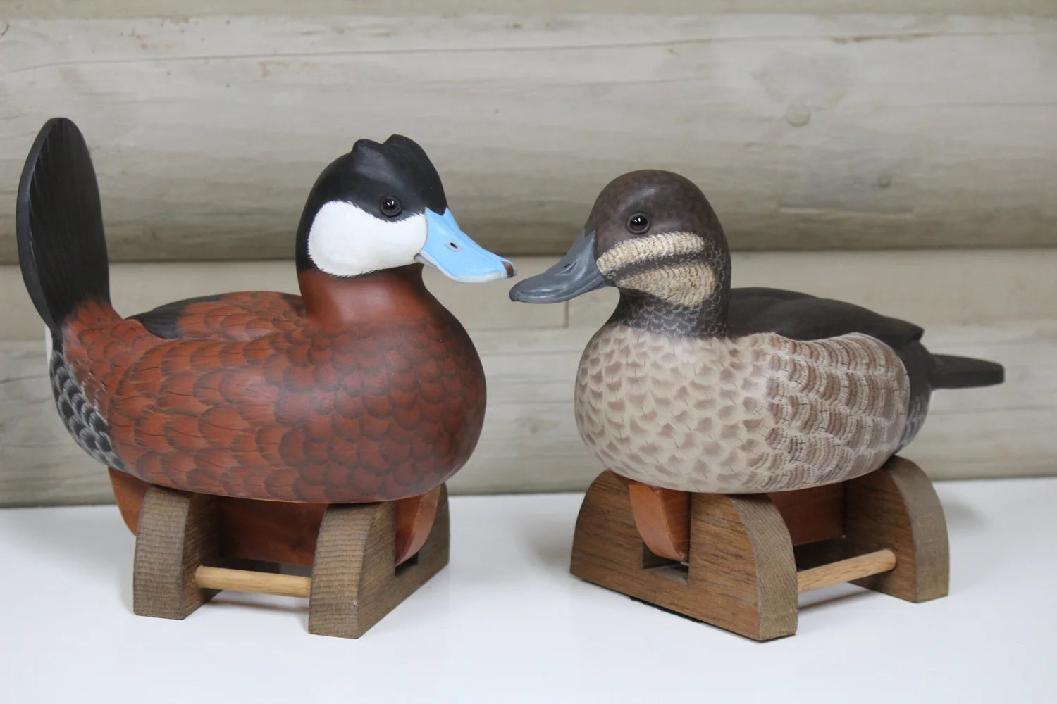 Ruddy Ducks