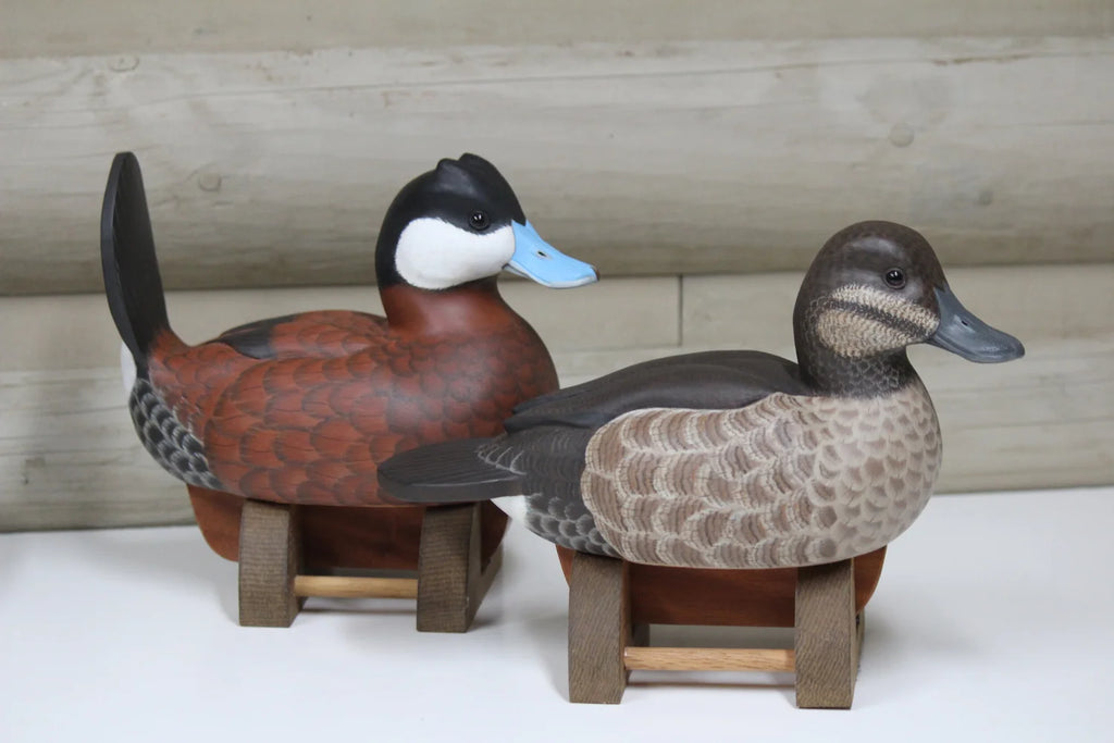 Ruddy Ducks