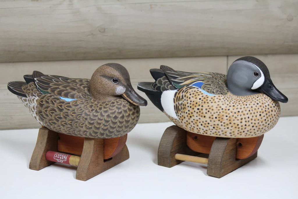 Blue-winged Teals
