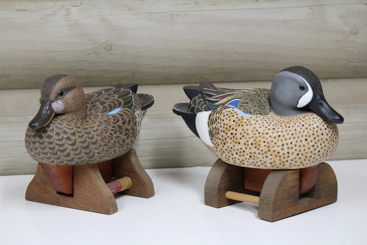 Blue-winged Teals