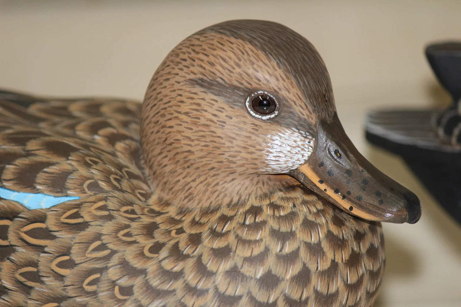 Blue-winged Teals