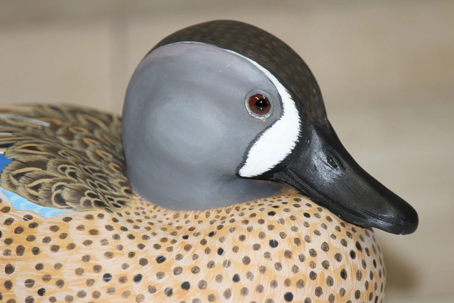 Blue-winged Teals