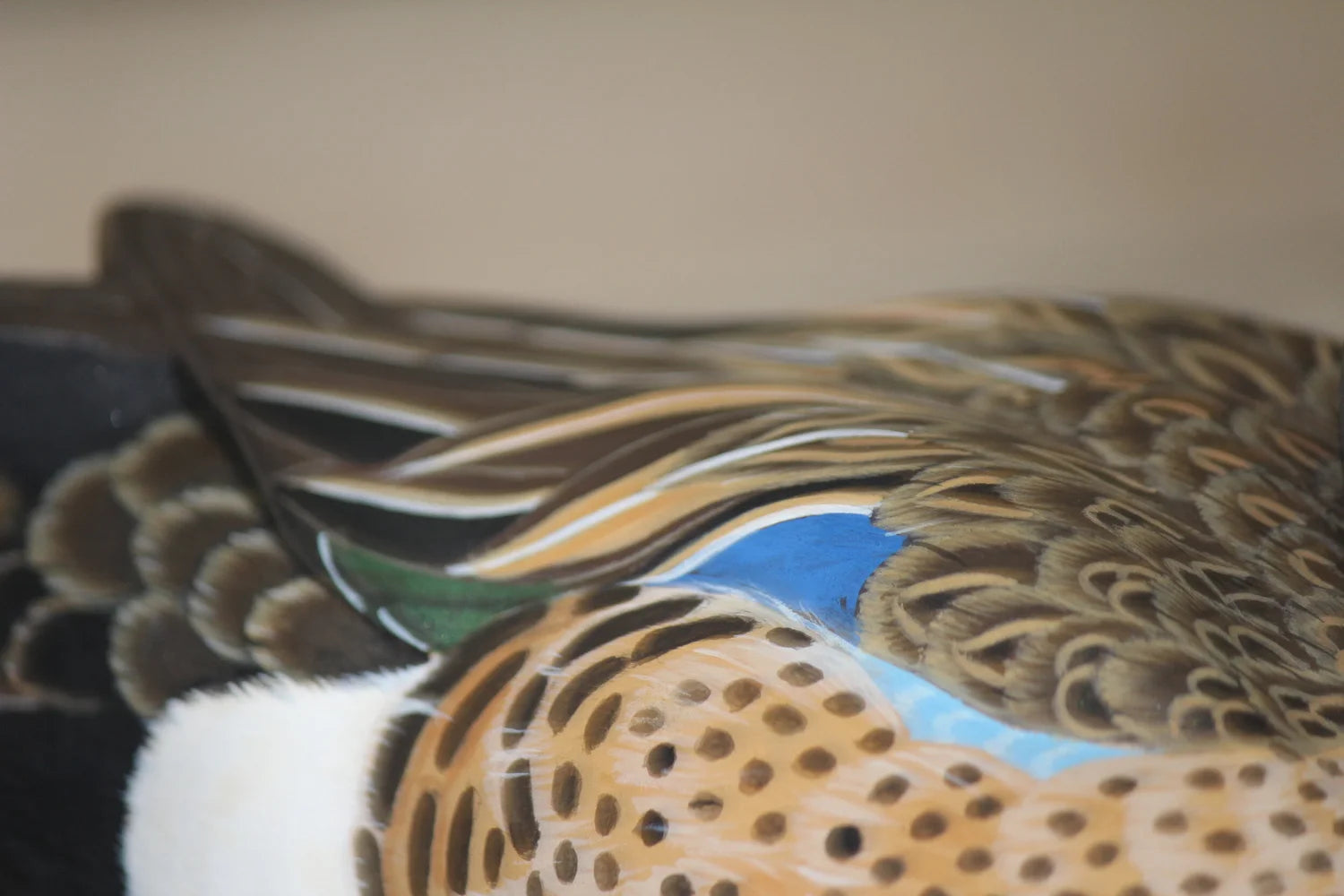 Blue-winged Teals
