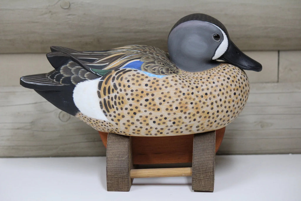 Blue-winged Teals