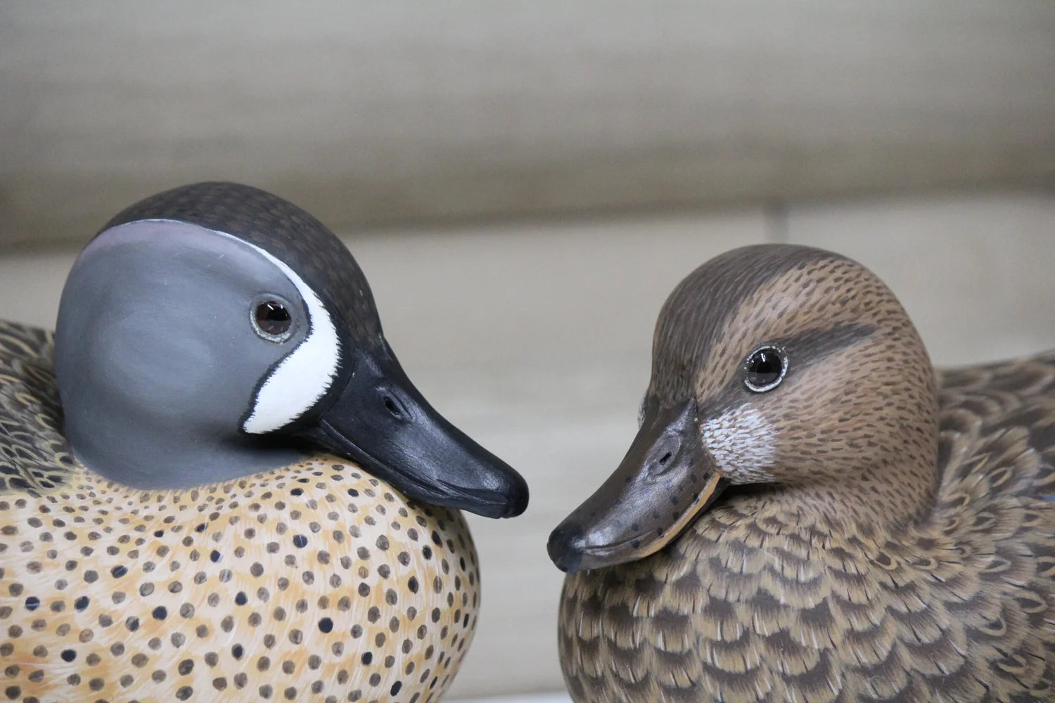 Blue-winged Teals