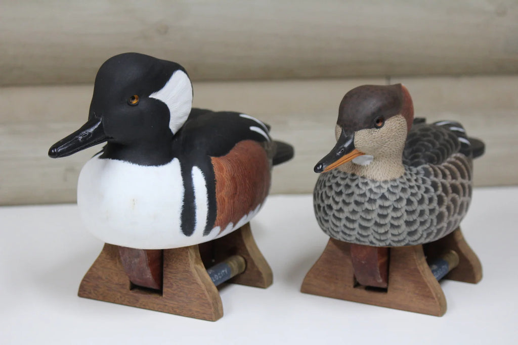 Hooded Mergansers