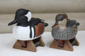 Hooded Mergansers
