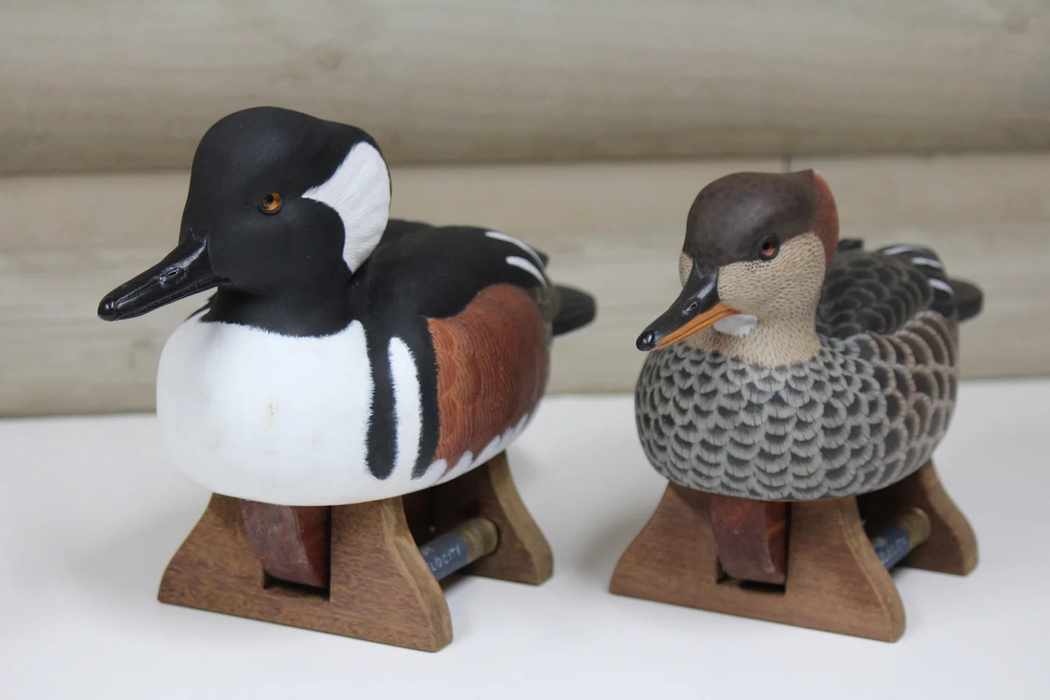 Hooded Mergansers
