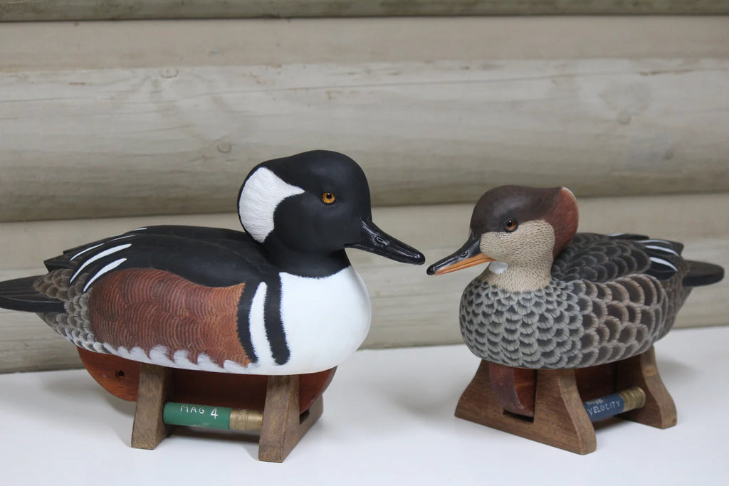 Hooded Mergansers