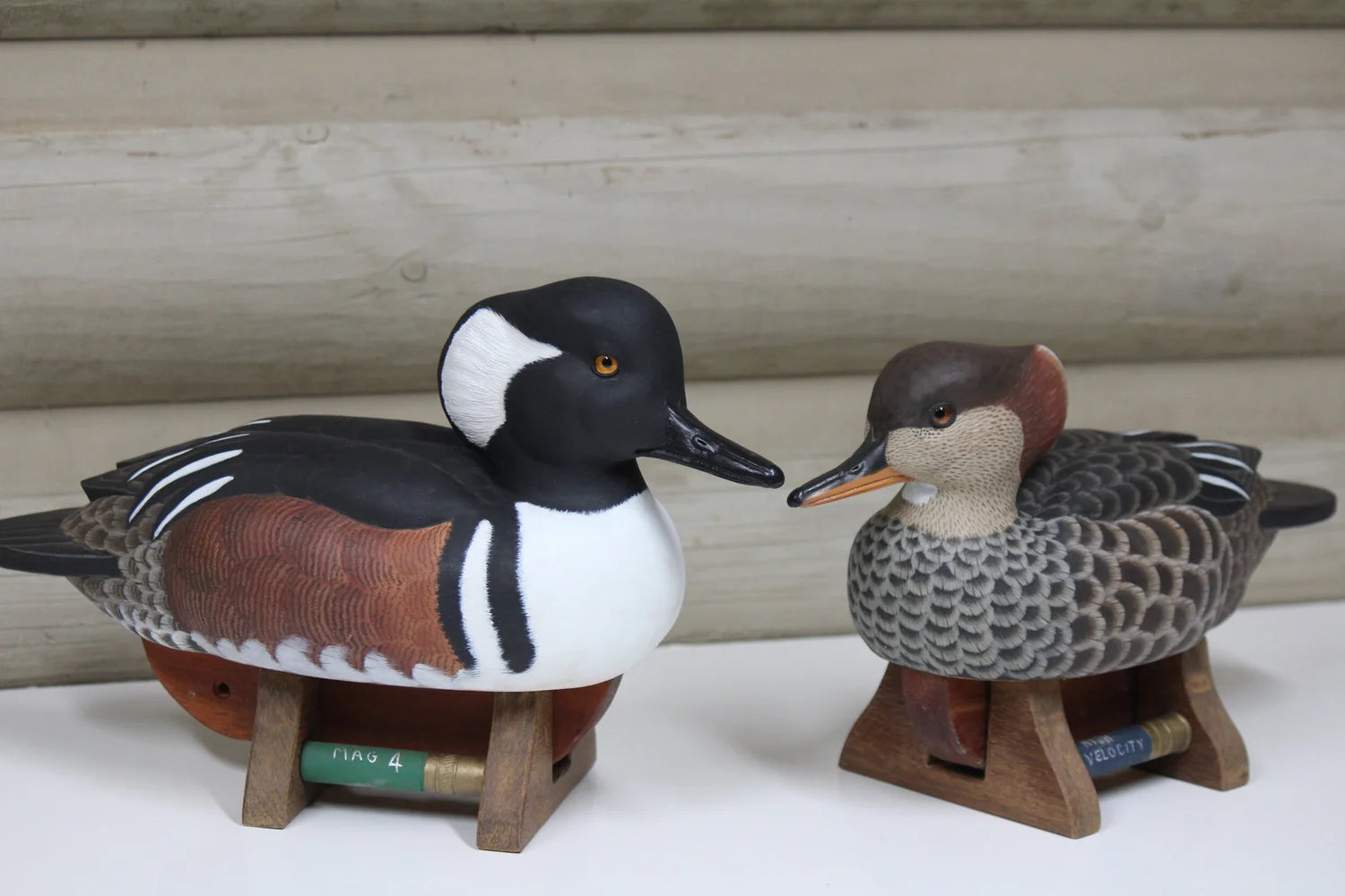 Hooded Mergansers