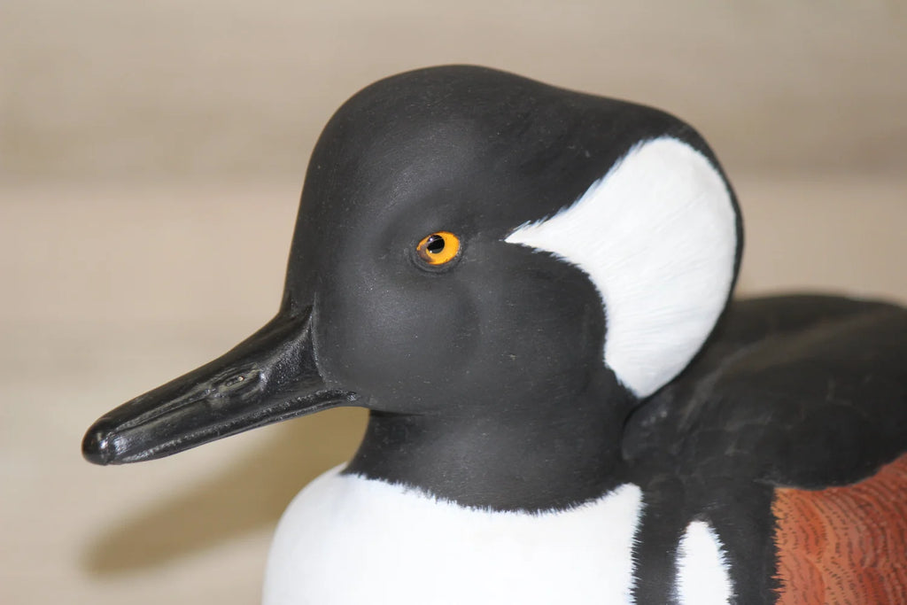 Hooded Mergansers
