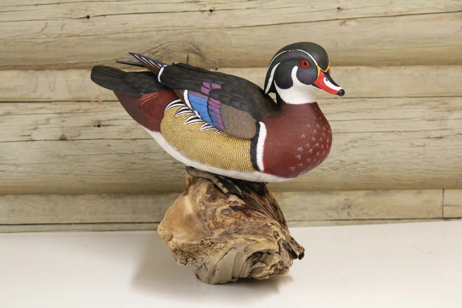 Wood-duck Drake