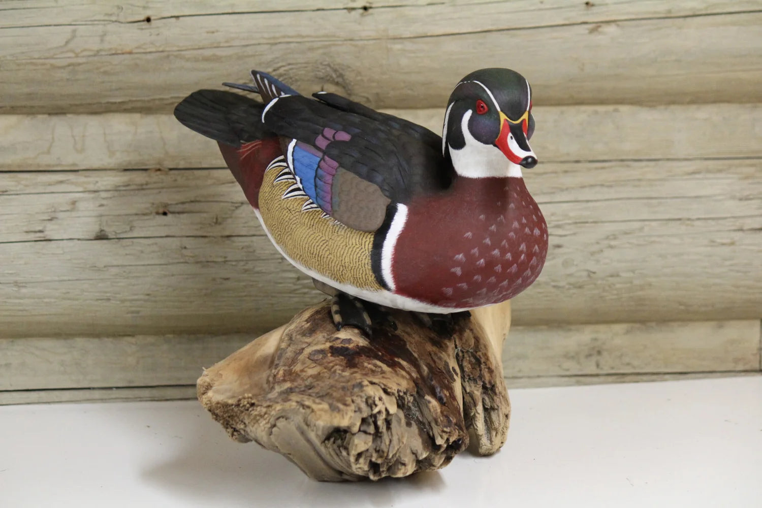 Wood-duck Drake