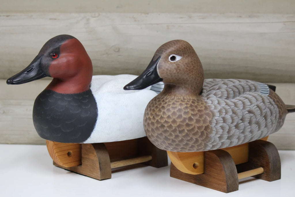 Canvasbacks