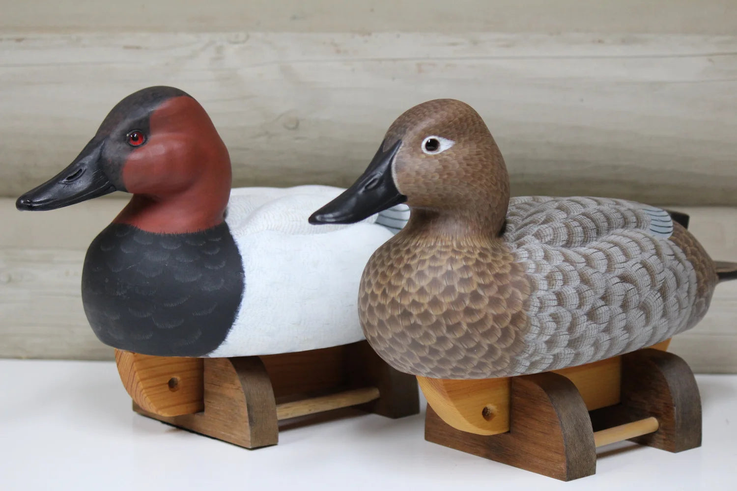 Canvasbacks