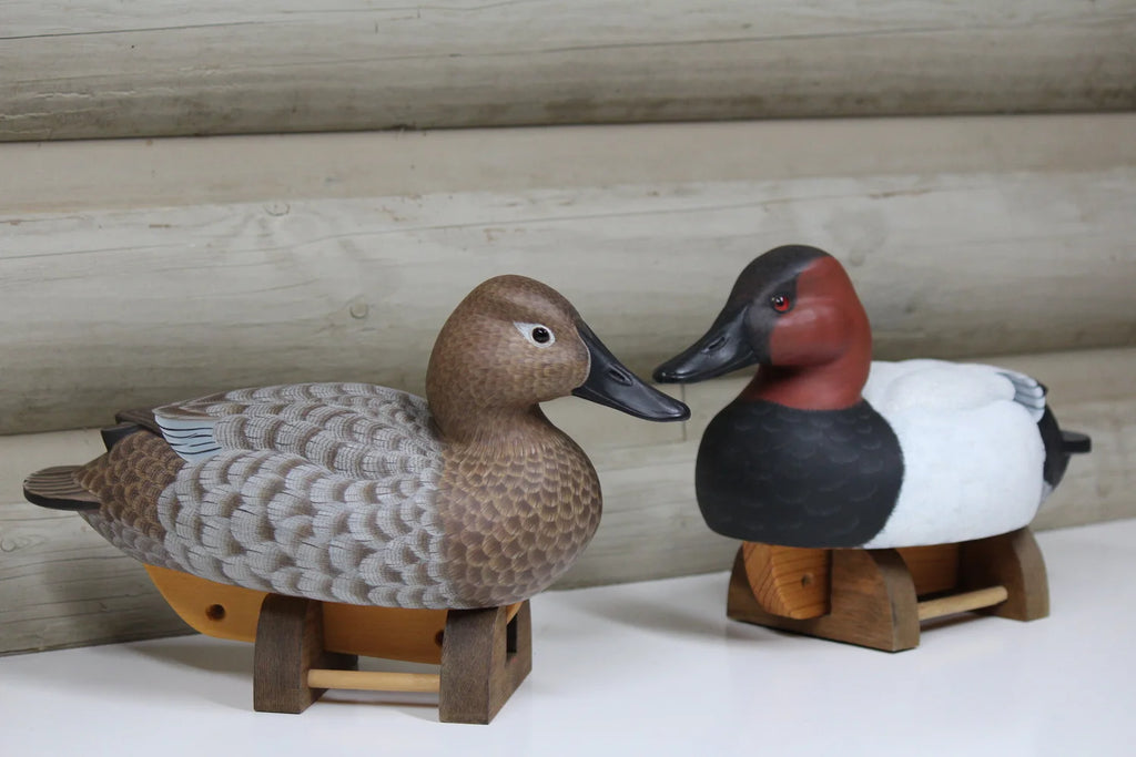 Canvasbacks