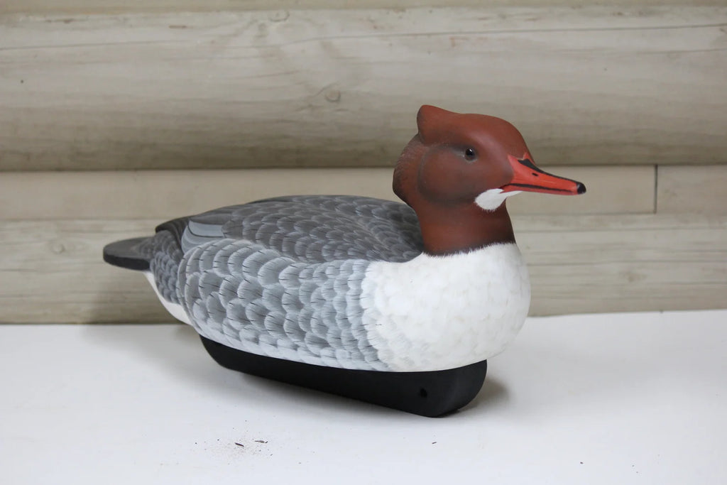 Mergansers
