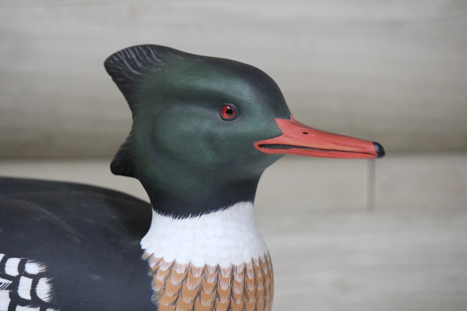 Mergansers