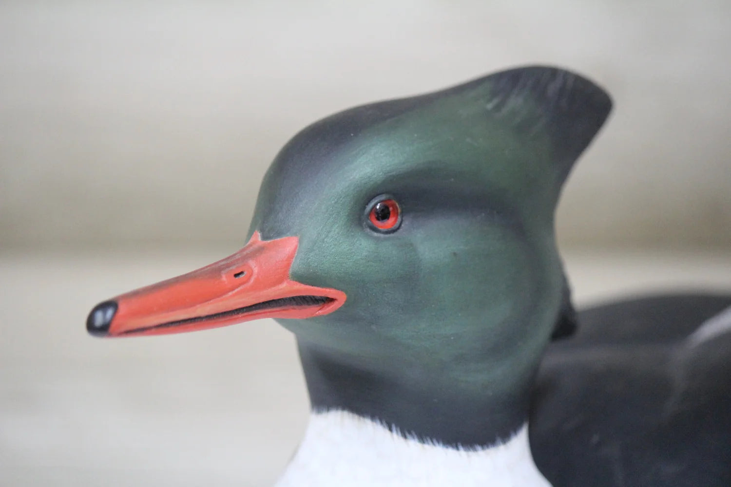 Mergansers