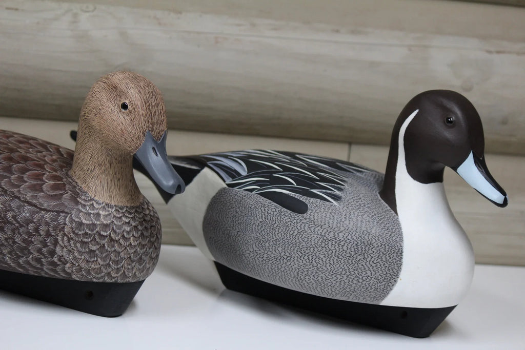 Pintails