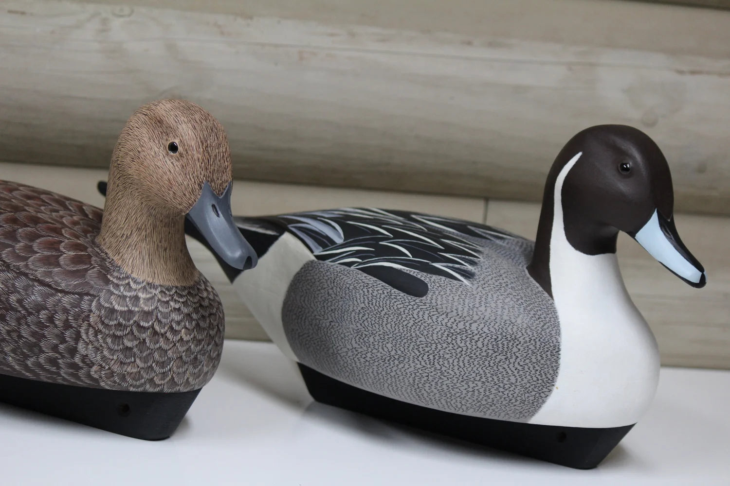 Pintails