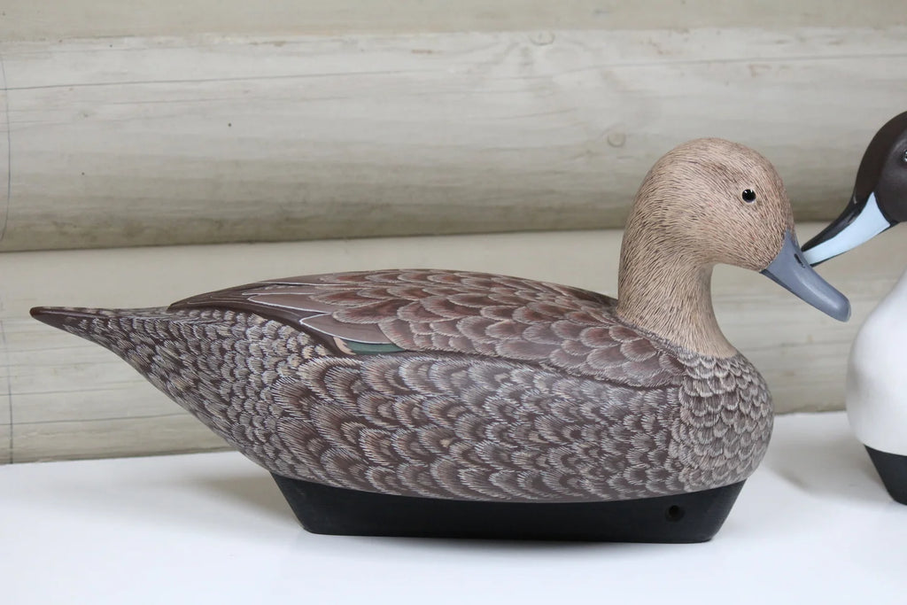 Pintails