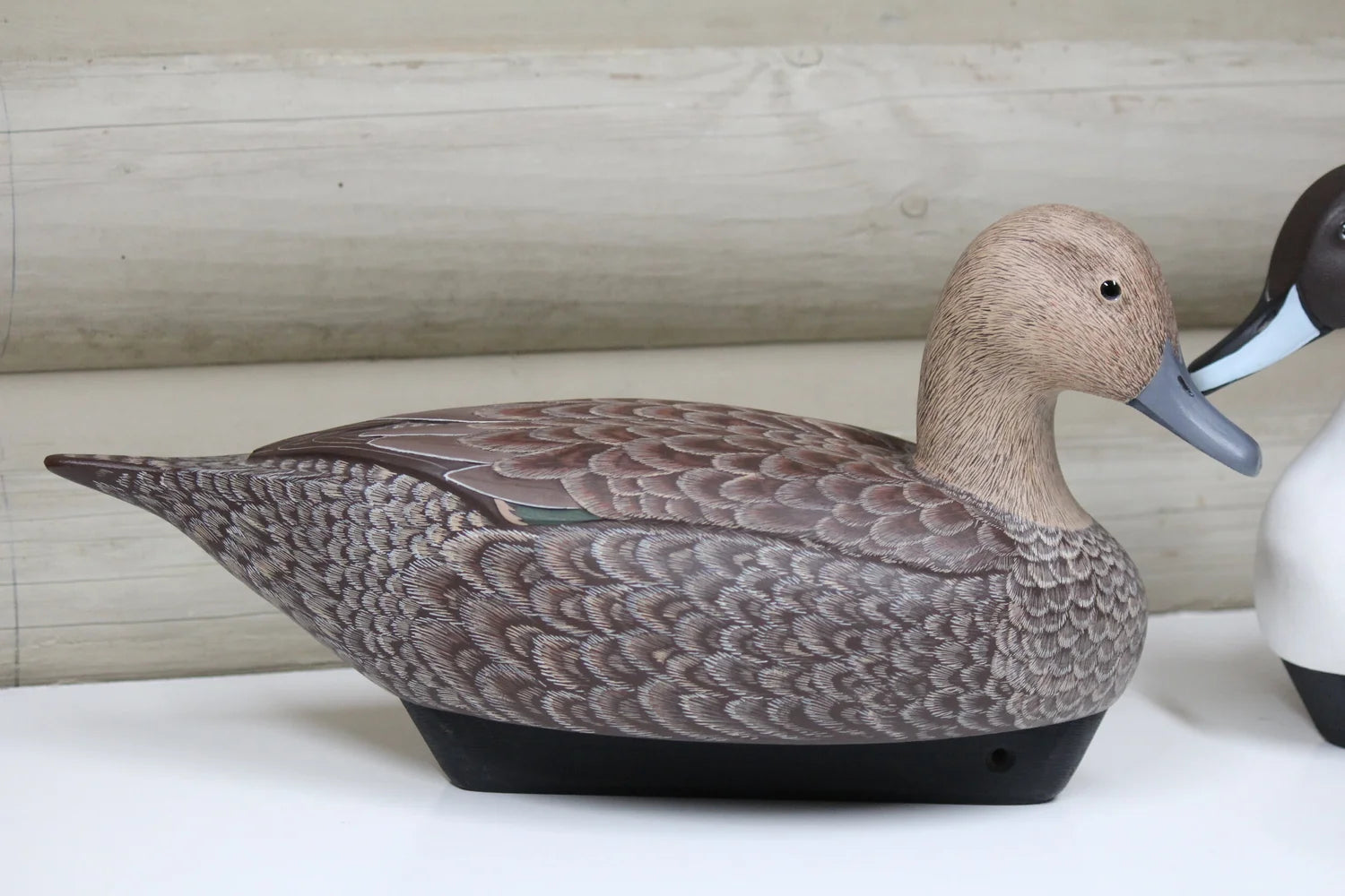 Pintails