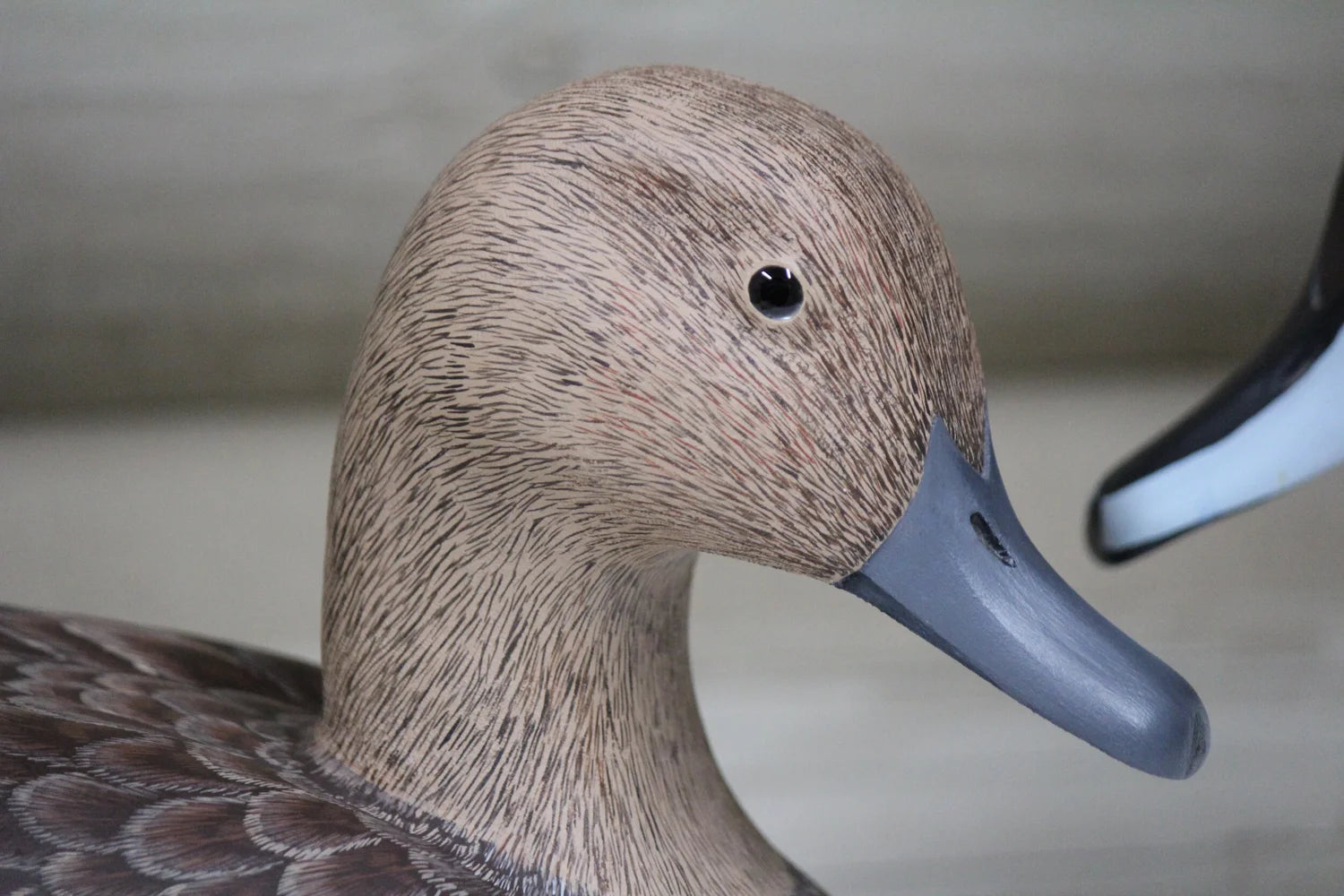 Pintails