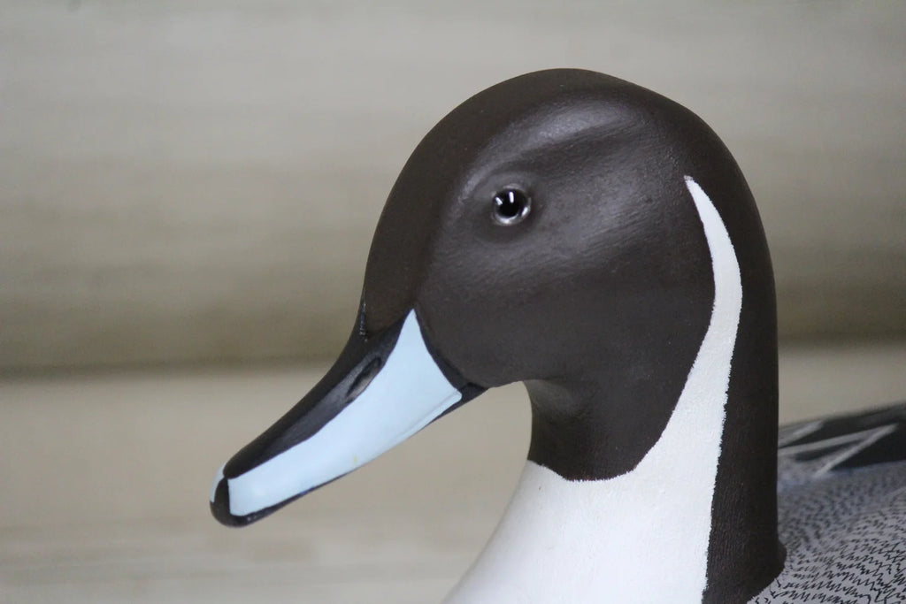 Pintails