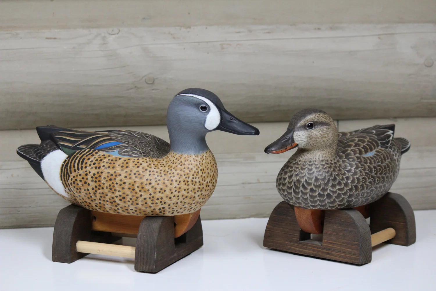 Blue-winged Teals