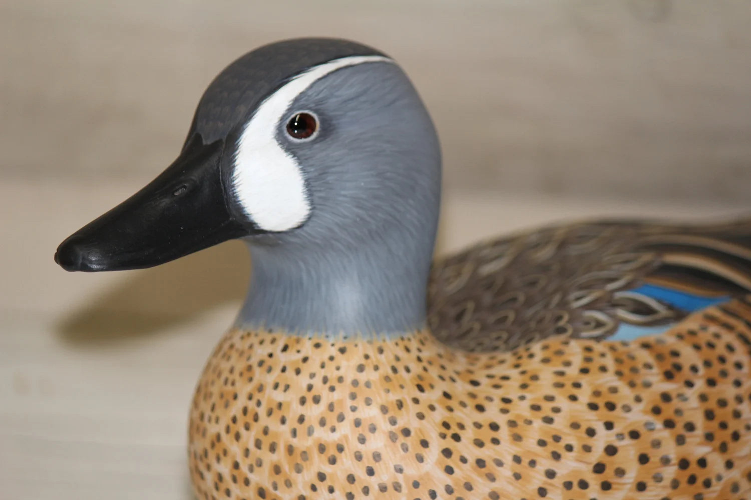 Blue-winged Teals