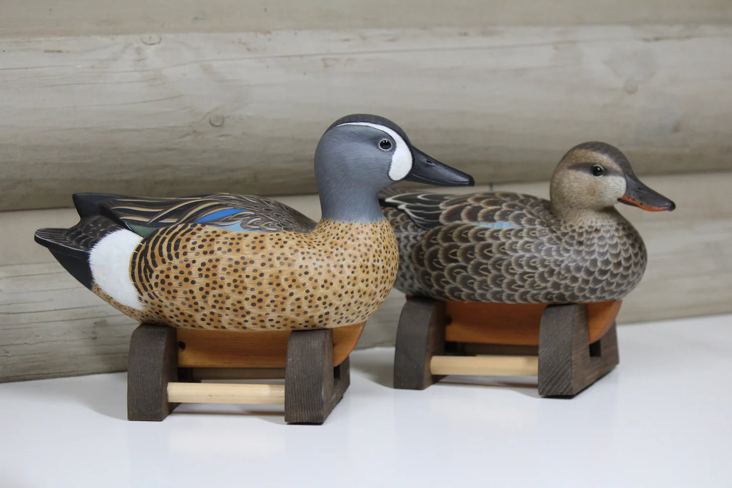Blue-winged Teals