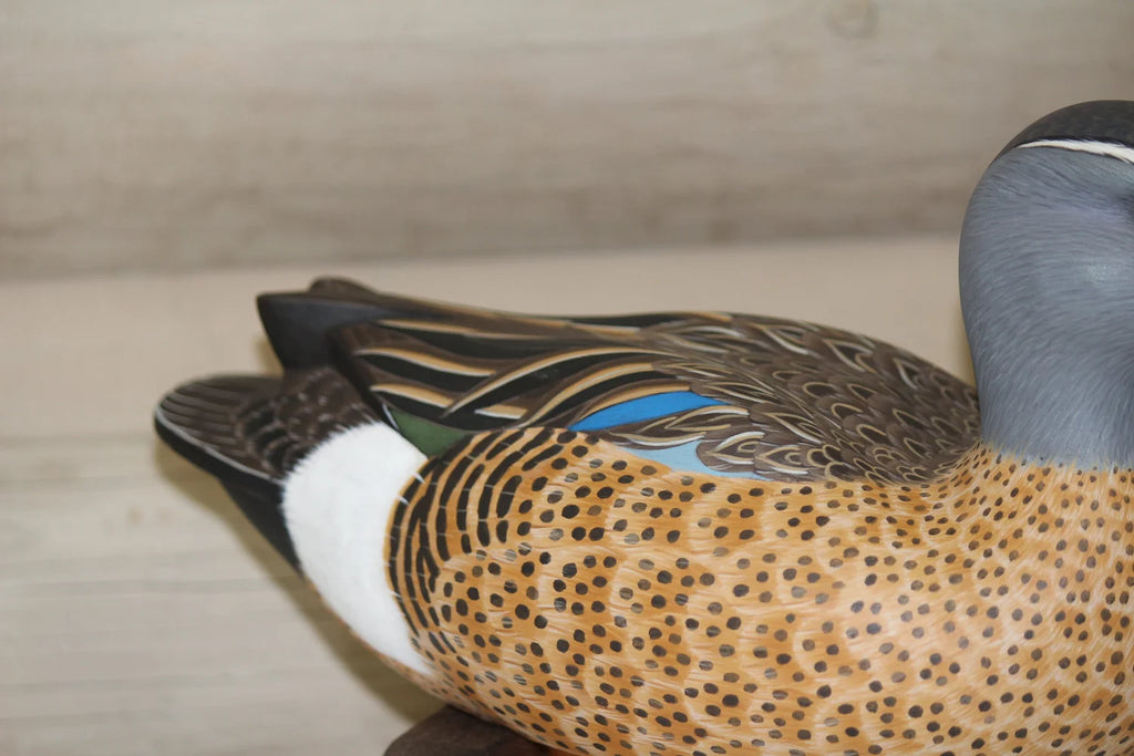 Blue-winged Teals